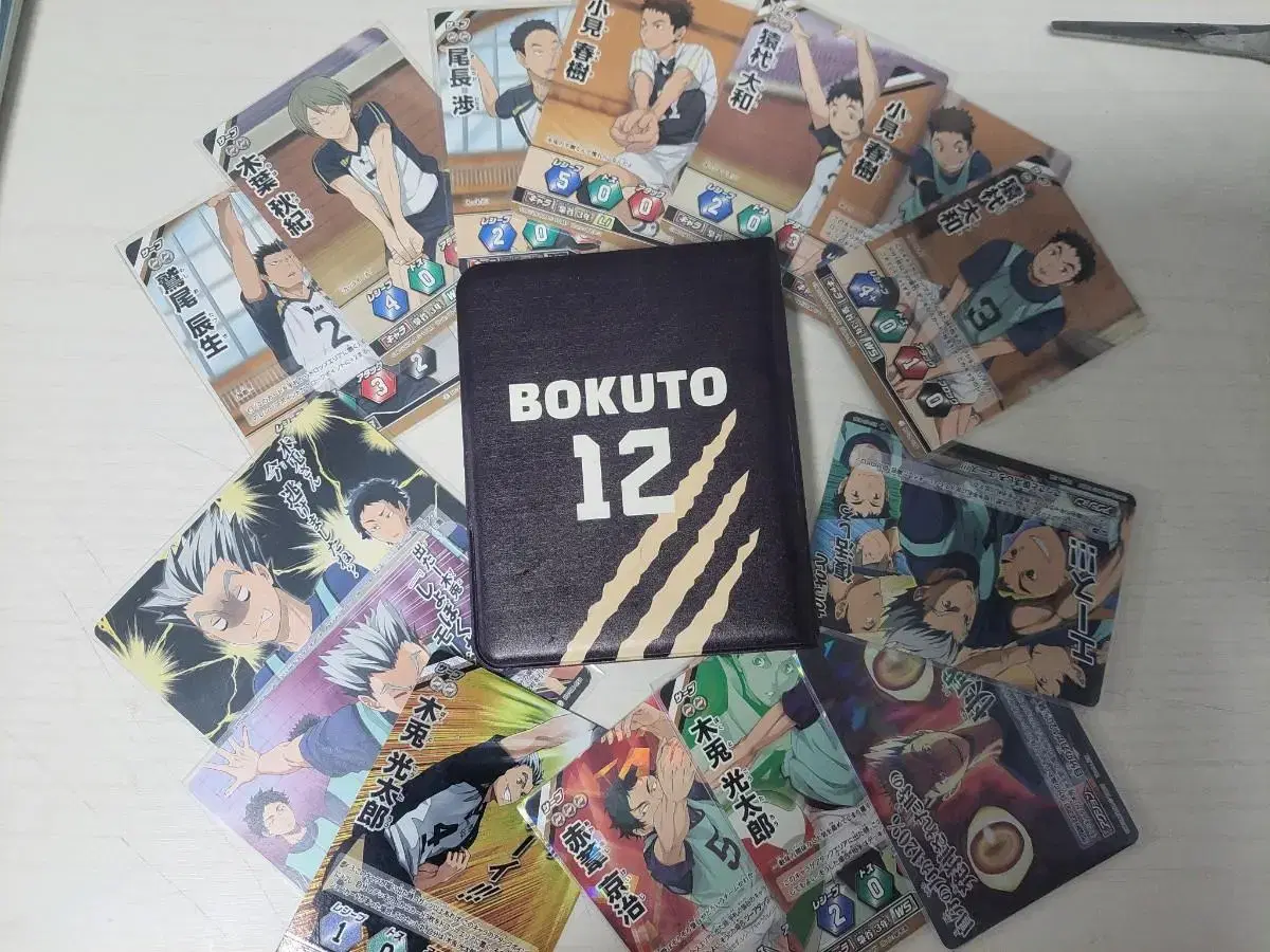 Haikyuu Barbaka Bokuto bulk (binder)