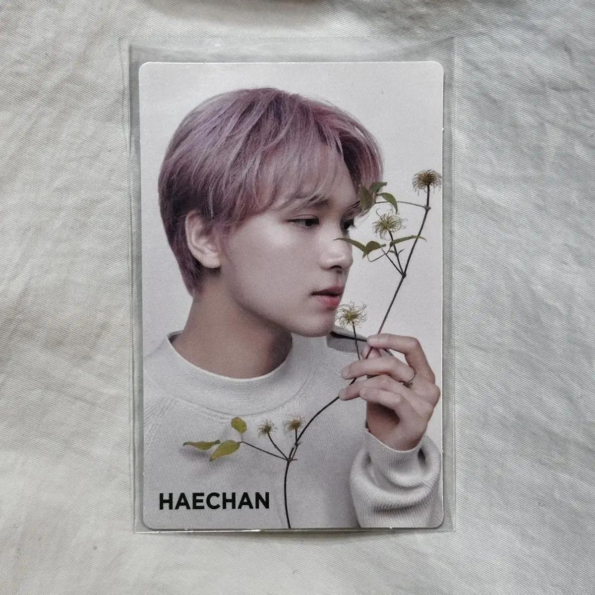 NCT haechan Nature