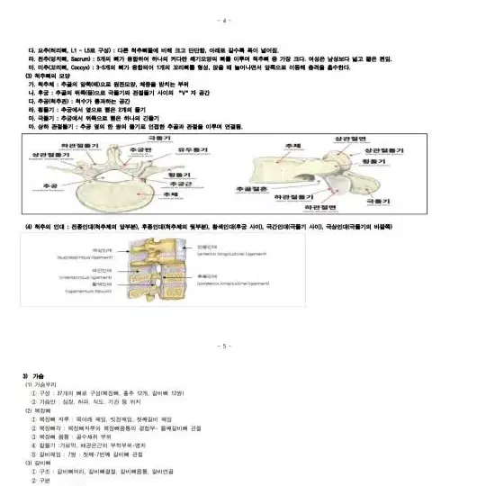 손해사정사 의학이론 서브노트 판매합니다