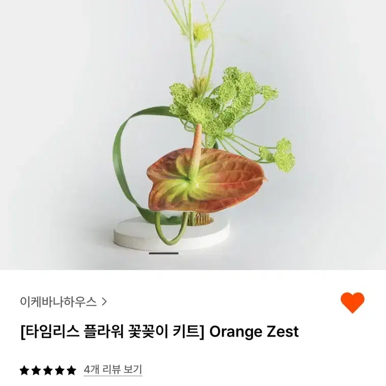 이케바나하우스 Orange Zest