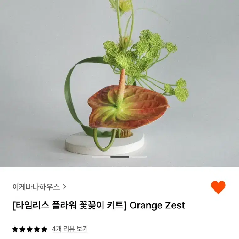 이케바나하우스 Orange Zest