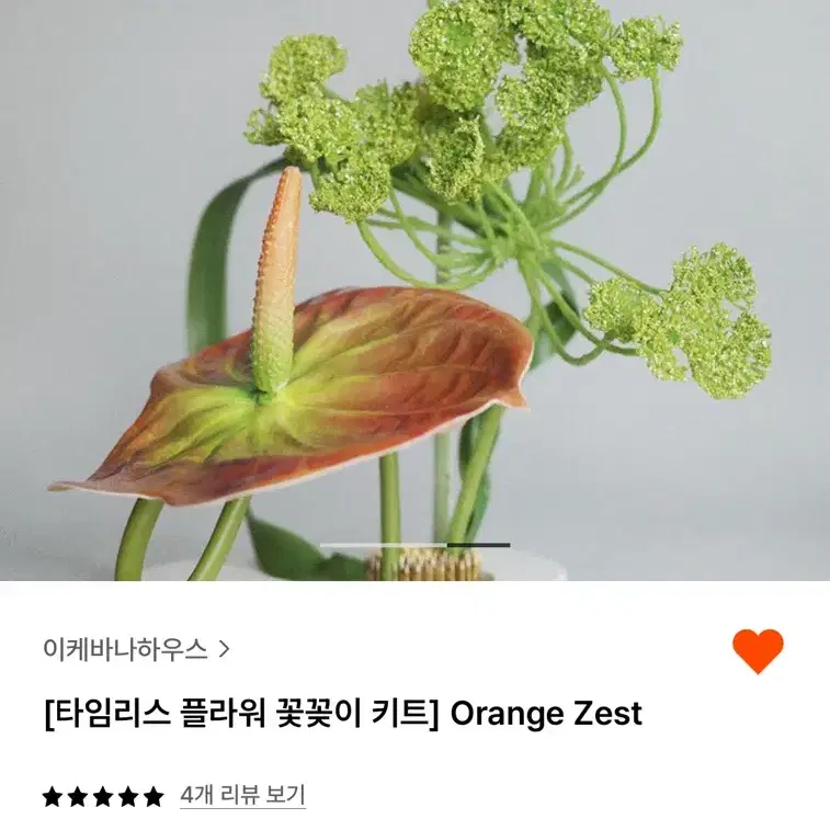 이케바나하우스 Orange Zest