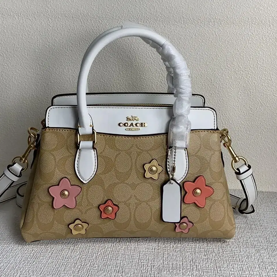 Coach Darcie CH344 해외직구 여자가방 프린티드 사첼 토트