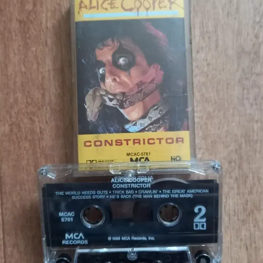 Alice Cooper 수입 카세트테이프