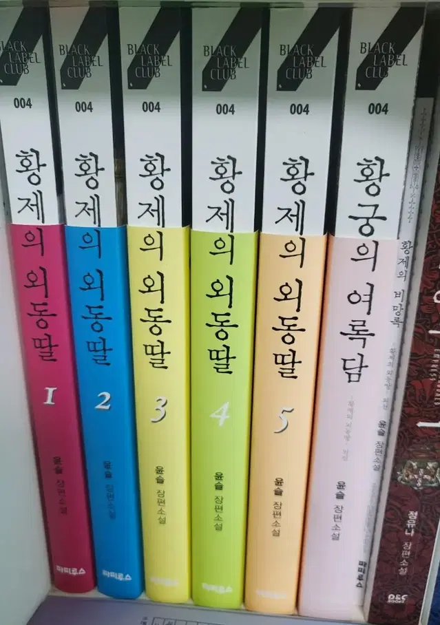 황제의 외동딸, 버림받은 황비 소설 로판 로맨스판타지