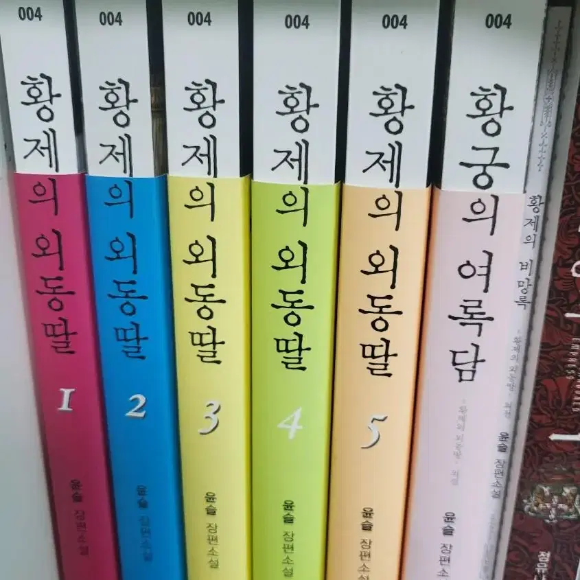 황제의 외동딸, 버림받은 황비 소설 로판 로맨스판타지