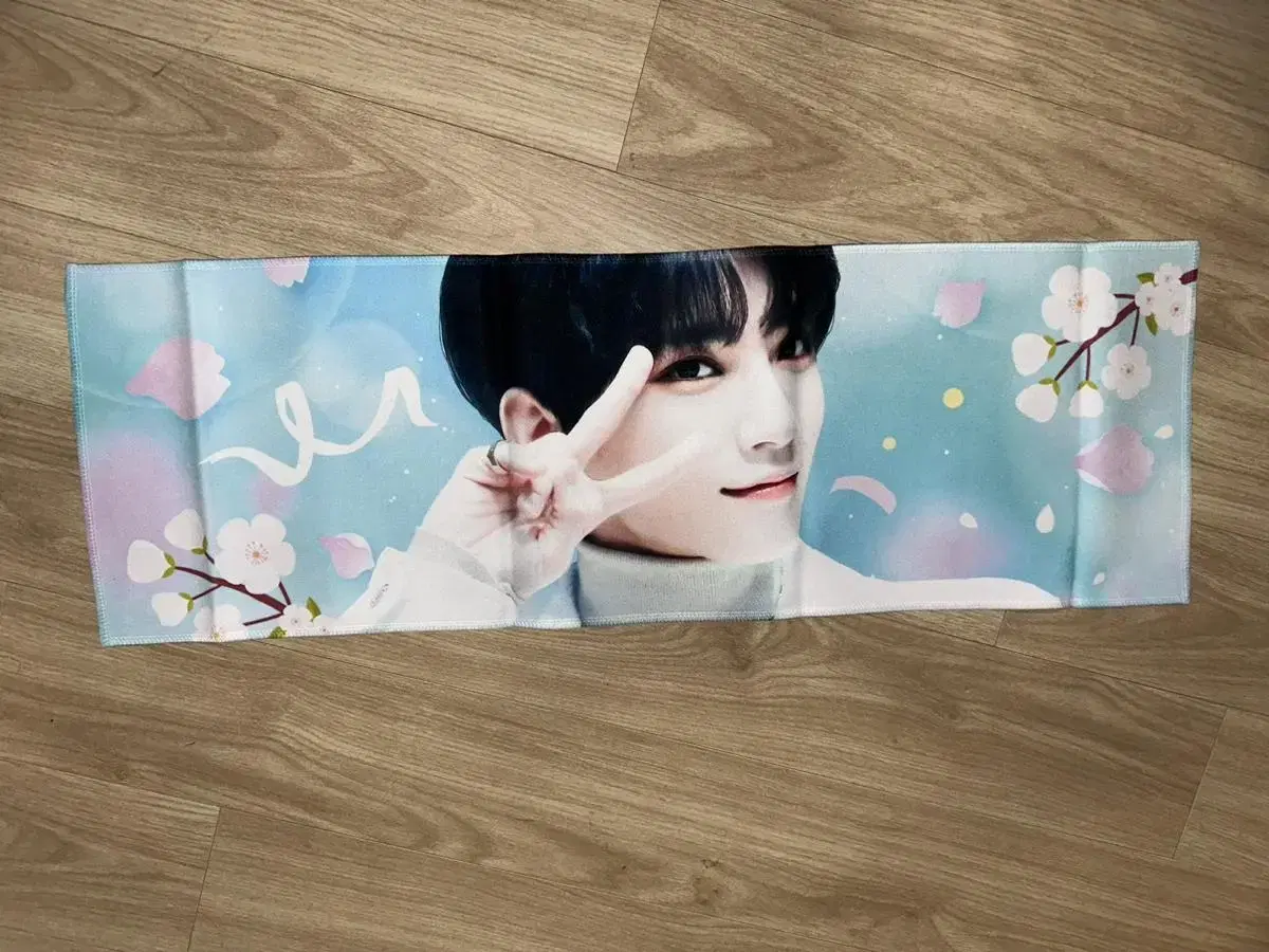 Seventeen joshua slogan sells