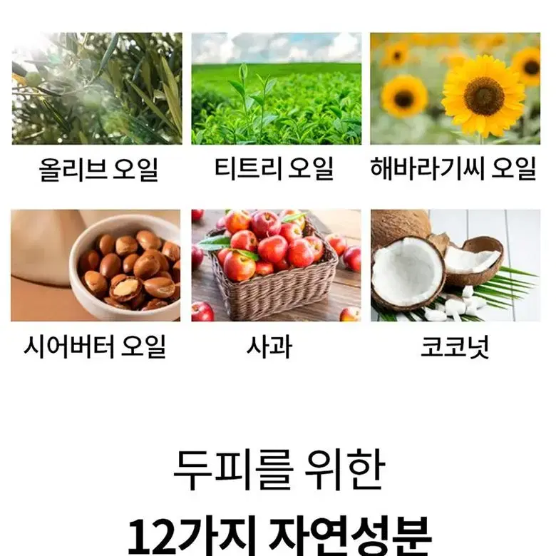 더마세븐 비건 맥주효모샴푸 탈모완화 설페이트  프리 뾰루지 임산부 샴푸