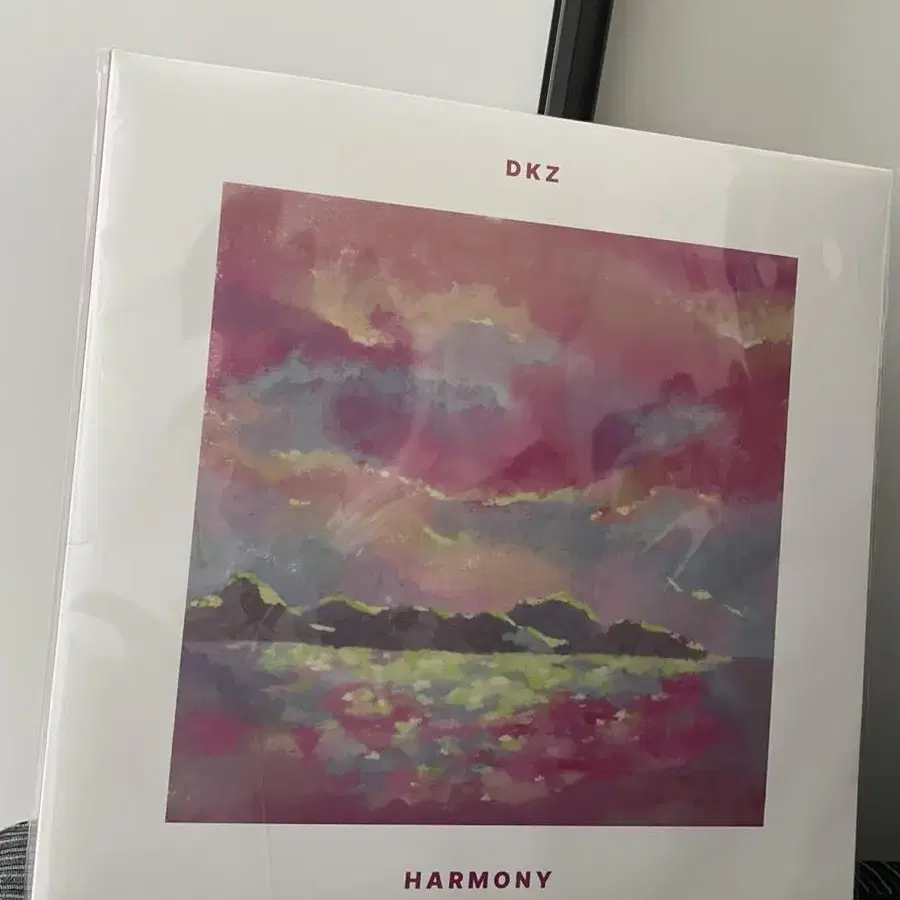 DKZ 하모니 LP