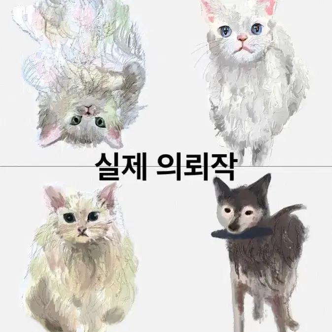 고양이,강아지 반려동물 그림 그려드려요/커미션 일러스트 선물