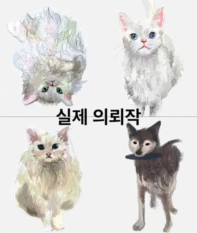 고양이,강아지 반려동물 그림 그려드려요/커미션 일러스트 선물