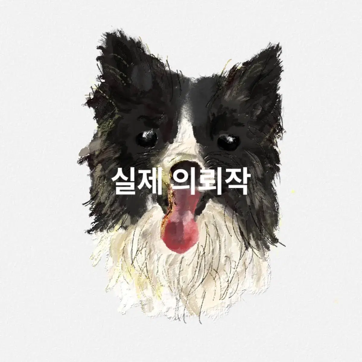 고양이,강아지 반려동물 그림 그려드려요/커미션 일러스트 선물