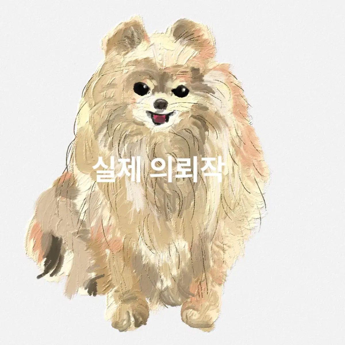 고양이,강아지 반려동물 그림 그려드려요/커미션 일러스트 선물