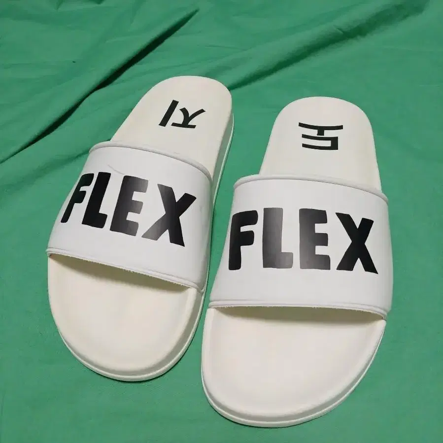 염따 FLEX 도지 슬리퍼 260