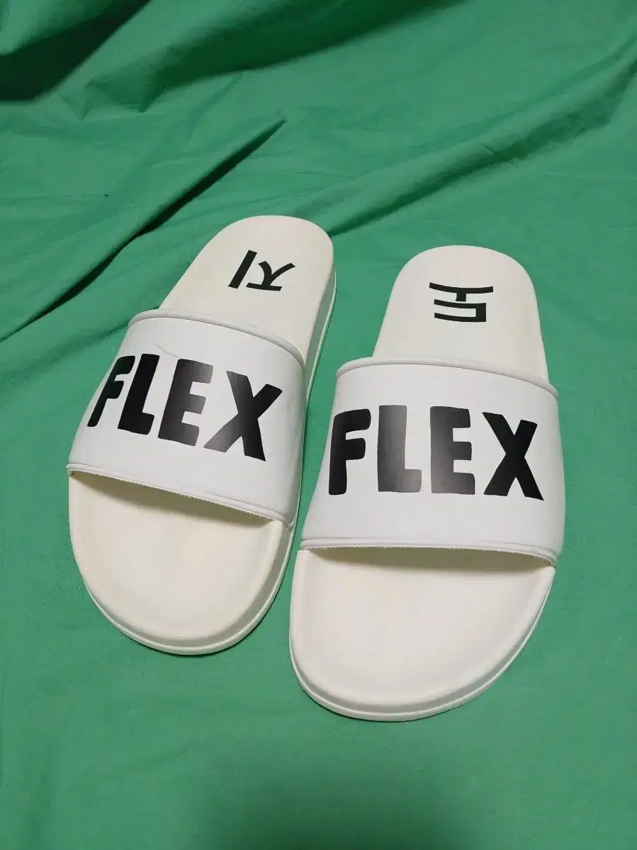 염따 FLEX 도지 슬리퍼 260