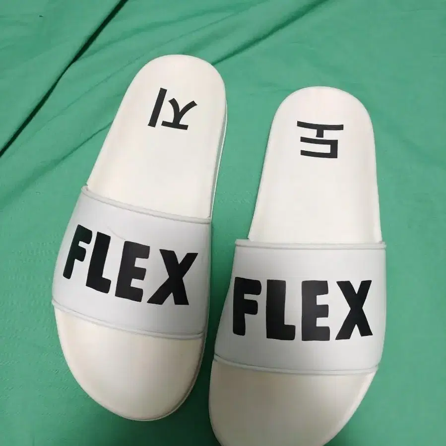 염따 FLEX 도지 슬리퍼 260