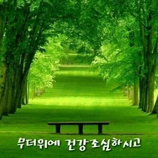 세종 주상복합아파트 2천할인 그냥가져가실분^^