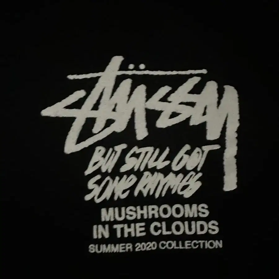 [L]stussy in the clouds 반팔 티셔츠