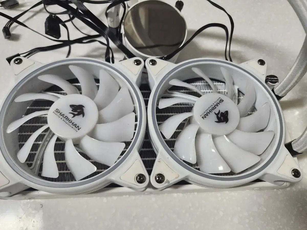 Cooler Sunglins Shakan APEX240 (White) sells.