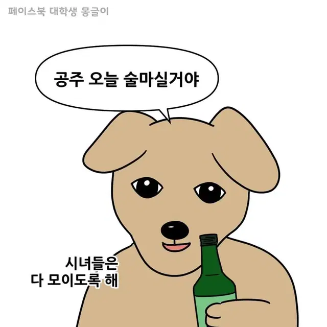 졸업사진 대여