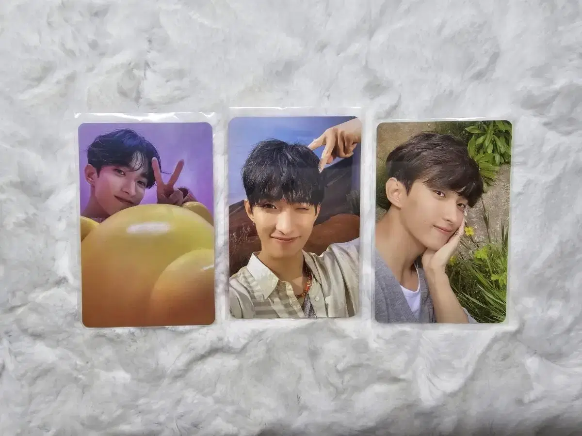 Seventeen dk photocard FeatherSun