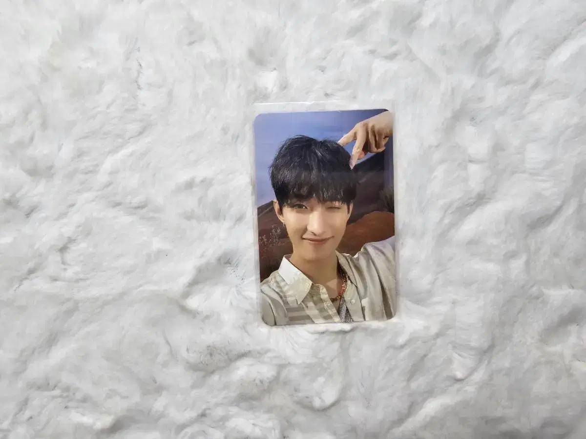 Seventeen dk Feathersun lay photocard WTS