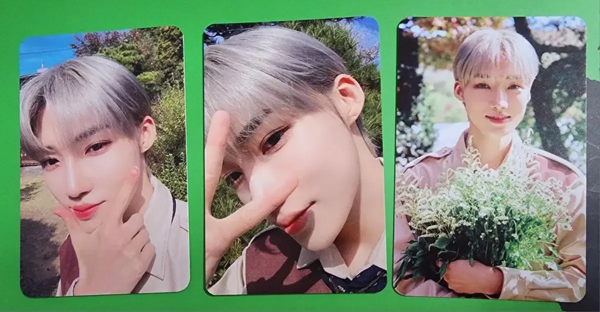 The Boyz new photocard Set