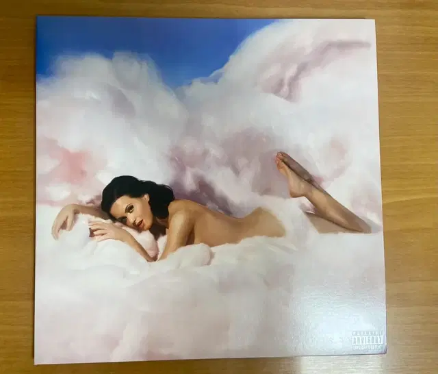 Katy Perry 케이티 페리 Teenage Dream Lp 화이트반