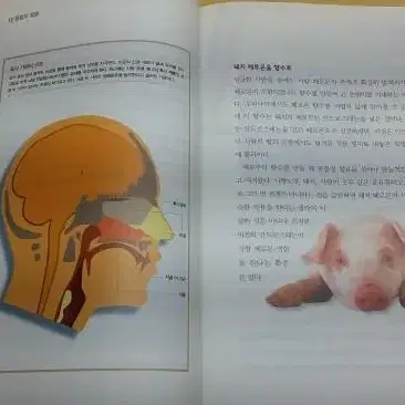 동아사이언스, 성우주니어  선생님도 놀란 과학뒤집기 (별책부록)