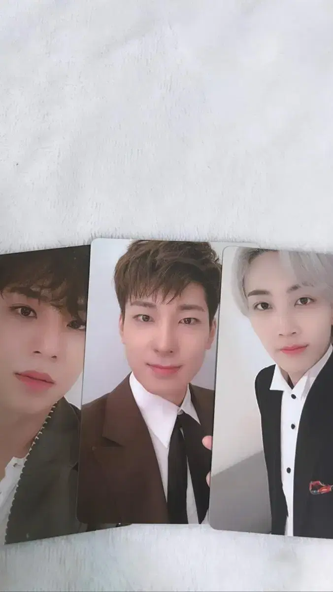 Seventeen Dogs Unleashed TRUTH mingyu wonwoo jeonghan photocard I wts