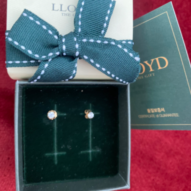 Lloyd Cubic 14K Earrings