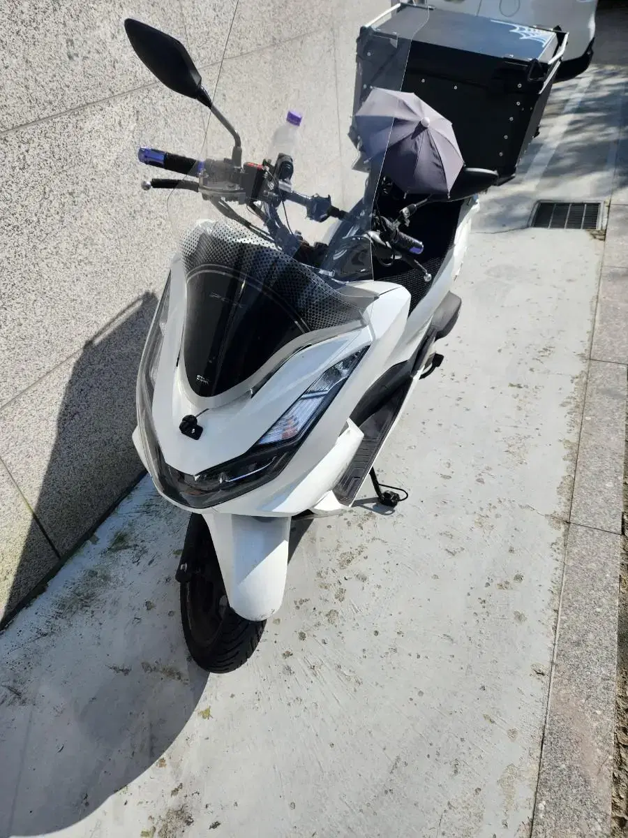 pcx 21년식 시티베스트 대차가능