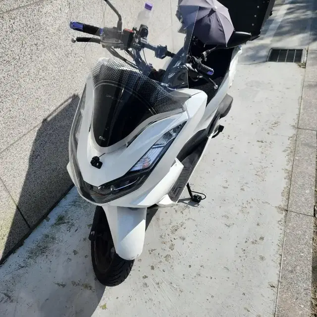 pcx 21년식 시티베스트 대차가능