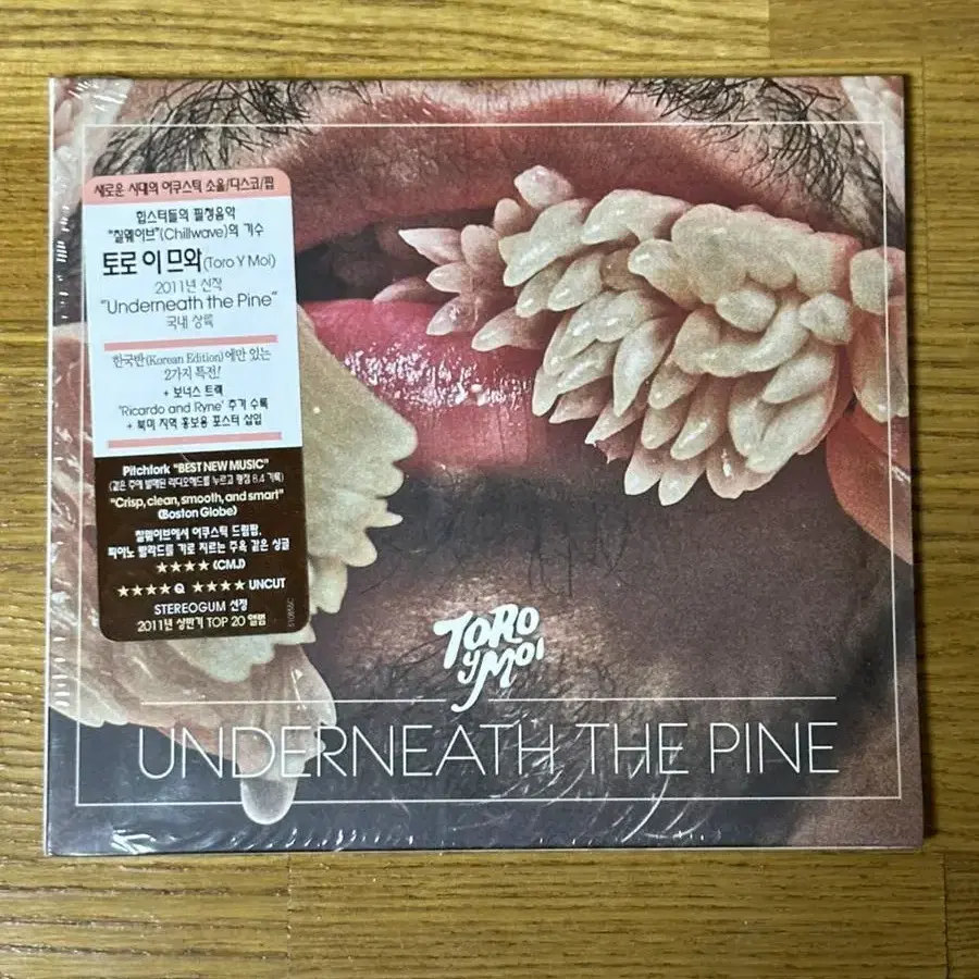 Toro Y Moi / Underneath The Pine 토로이므와