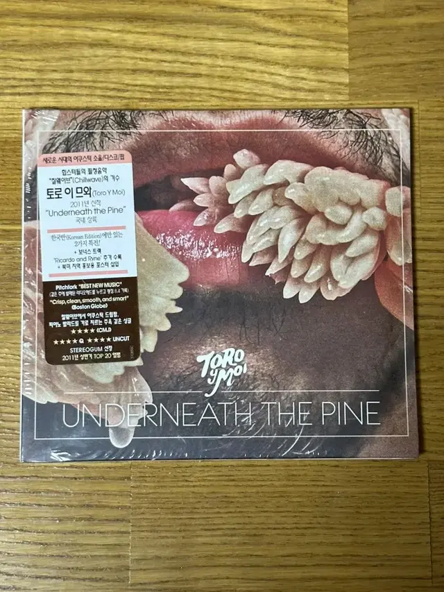 Toro Y Moi / Underneath The Pine 토로이므와