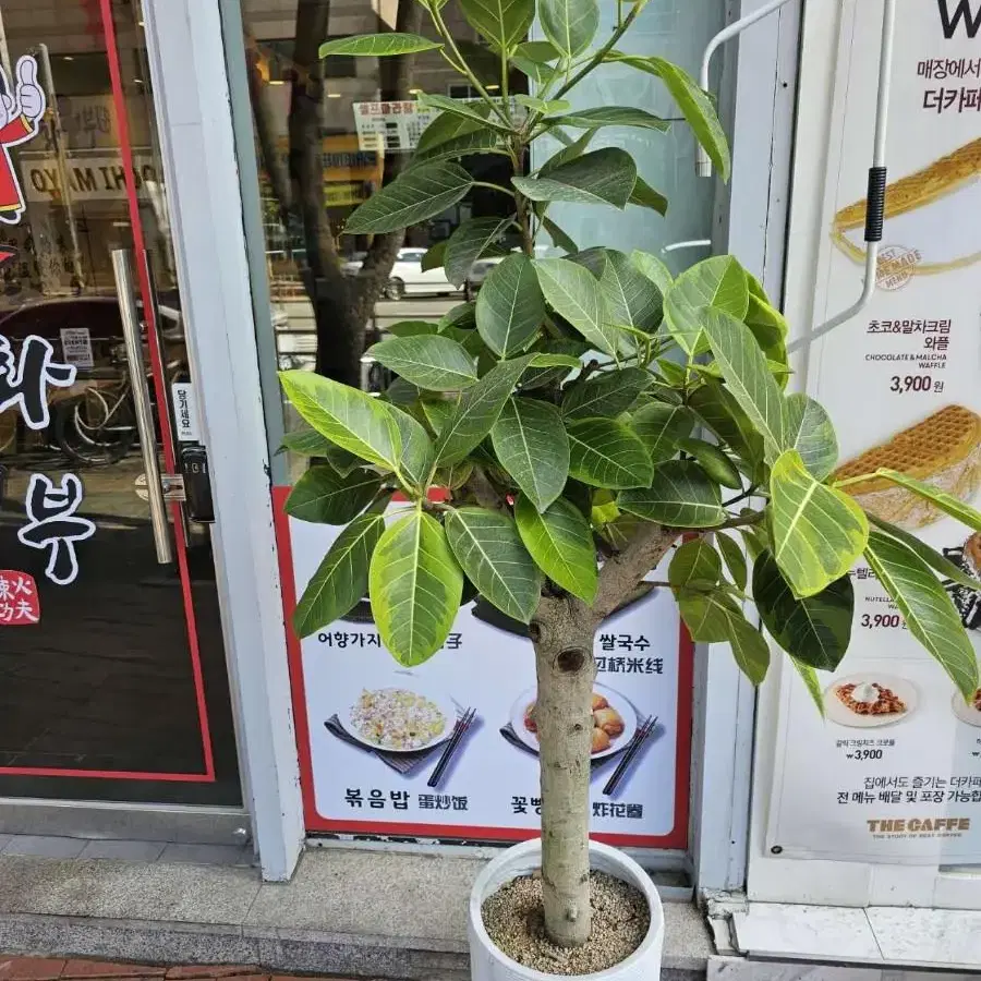 가격상의가능합니다