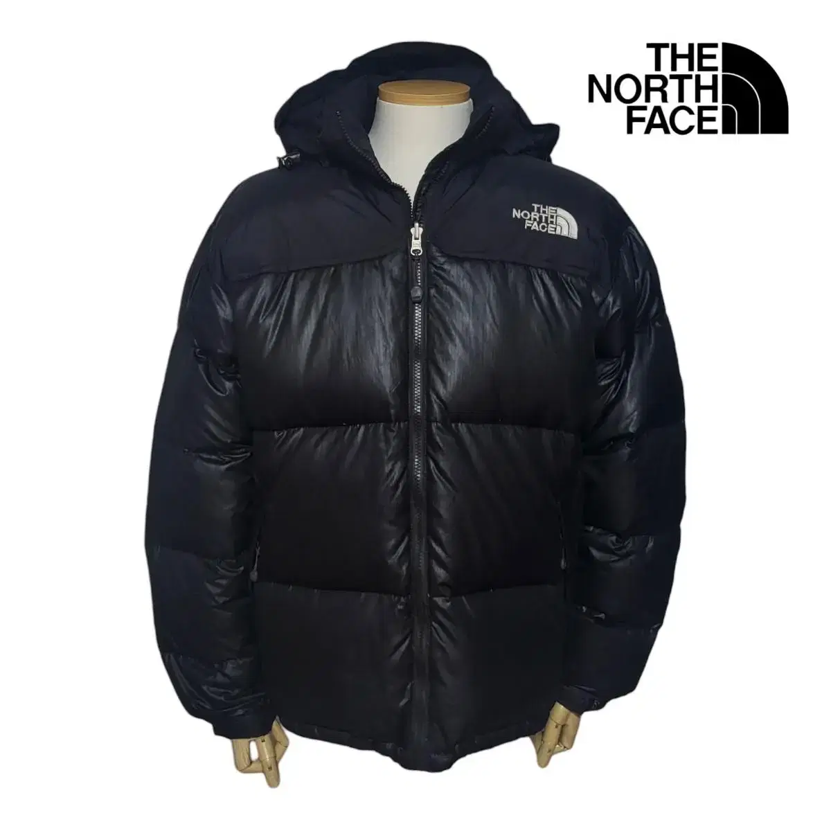 (L) The North Face Quantum 900LTD The North Face Short Padding