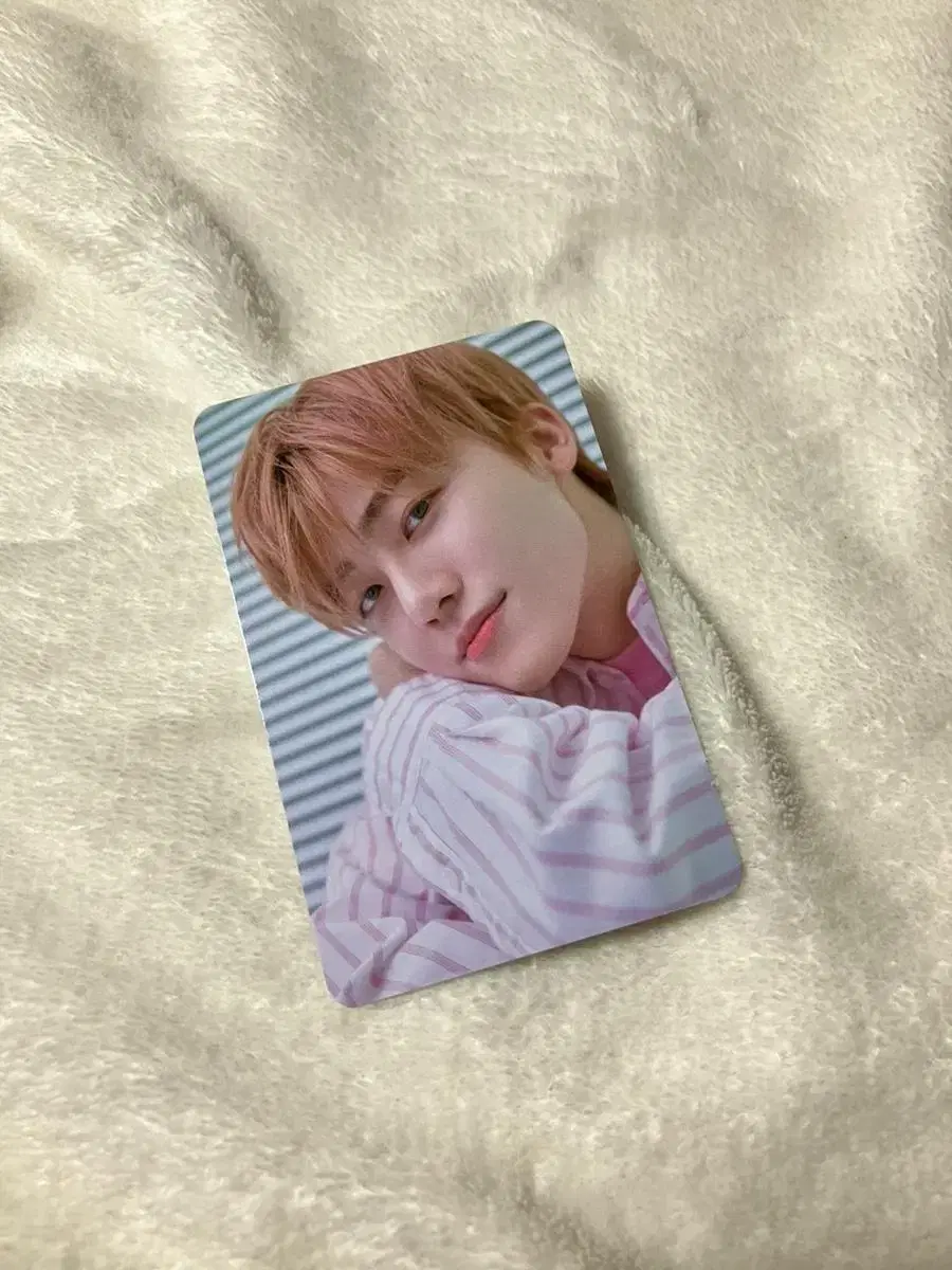 NCT Dream Randomized Lundry Card Pack jeno jaemin bulk WTS