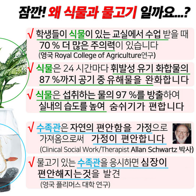 어항 겸용 인테리어 화분 홈가드닝 수경재배 실내습도 천연가습기