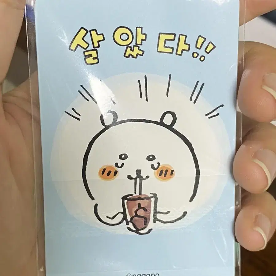 담곰이 농담곰 렌티큘러 (미개봉)