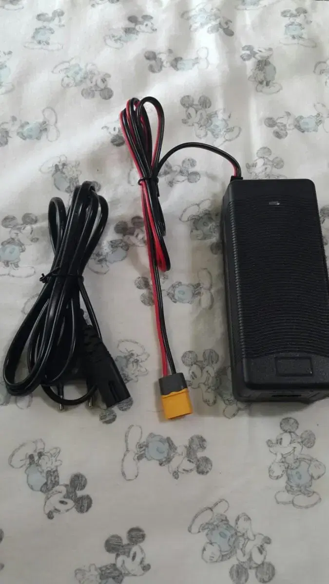 Electric Bike Fast Charger Quali Motobello Samcheonli QuickBoard 36v~42v 4A
