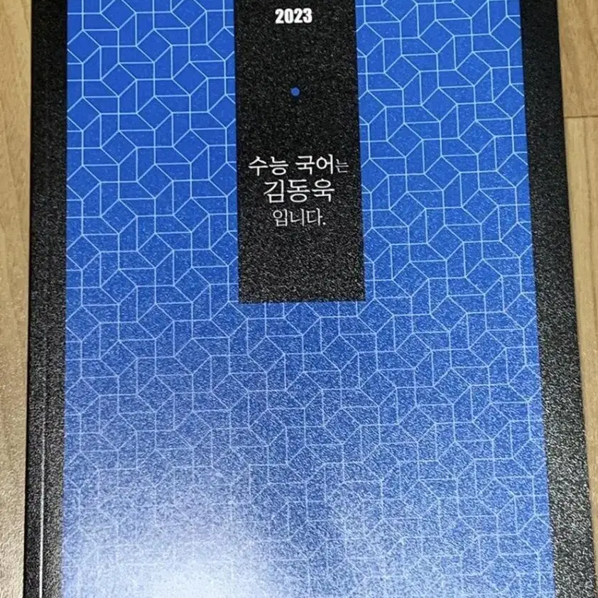 메가스터디 김동욱 2023 수국김