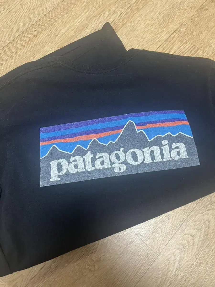 (M) Patagonia Vahn Shorty Pants