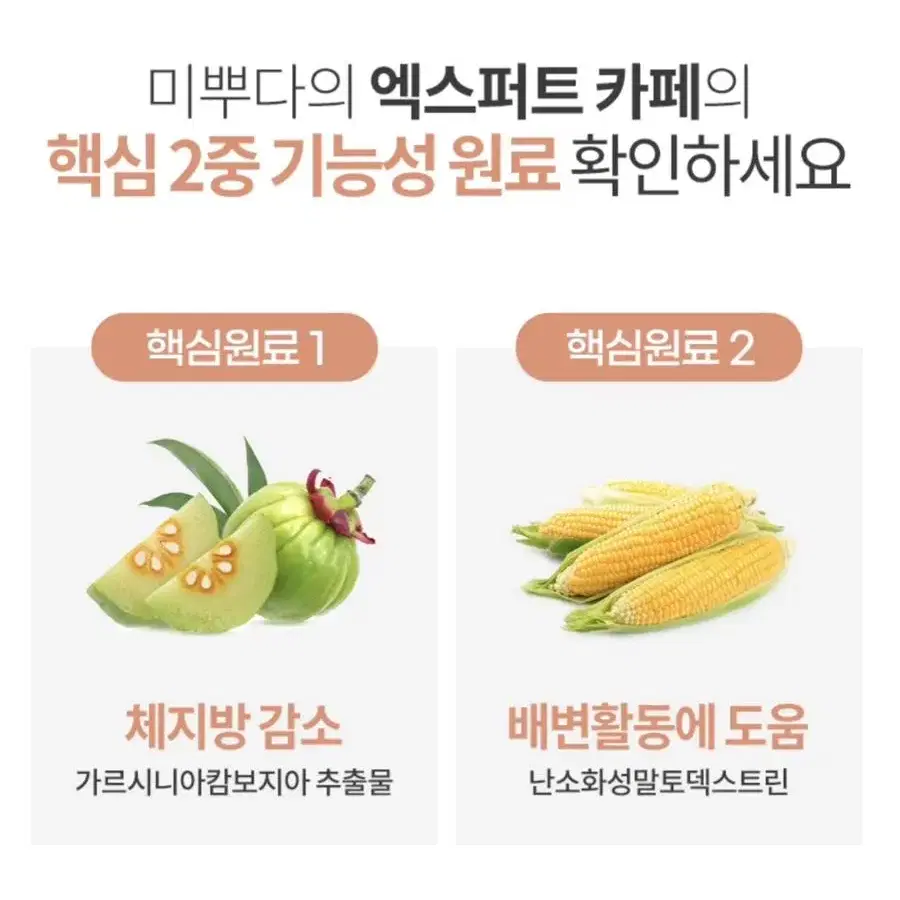 가르시니아 엑스퍼트까페 10+5