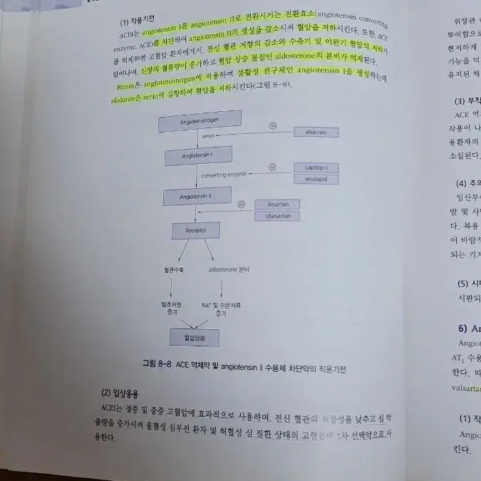 간호학과 전공서적 (정신/여성/아동/노인/기본간호학, 해부학, 약리학)