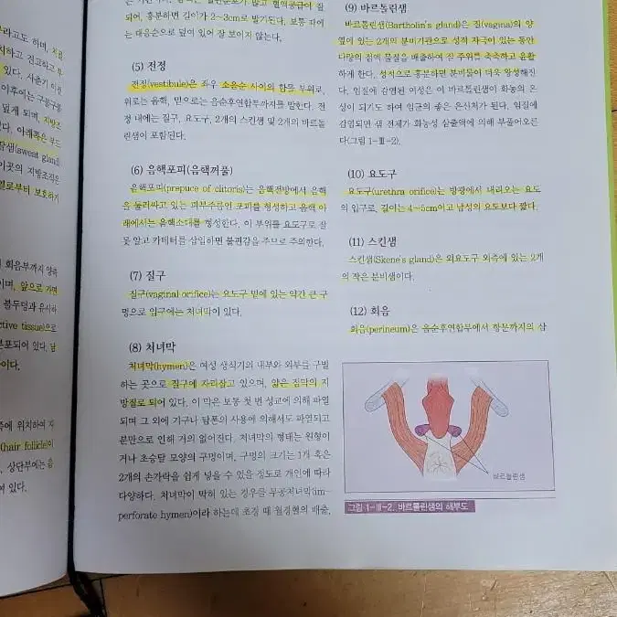 간호학과 전공서적 (정신/여성/아동/노인/기본간호학, 해부학, 약리학)