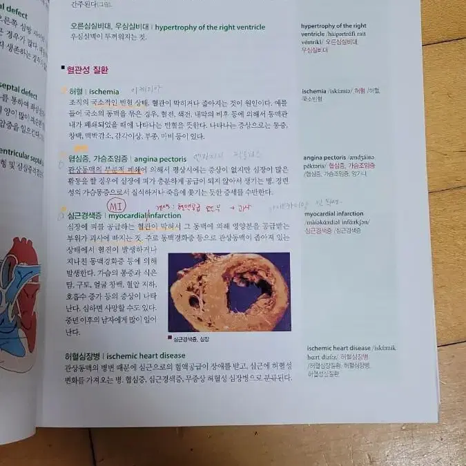 간호학과 문제집 (퍼시픽, 백신, 천기누설, 위아너스, 과학회, 용어)