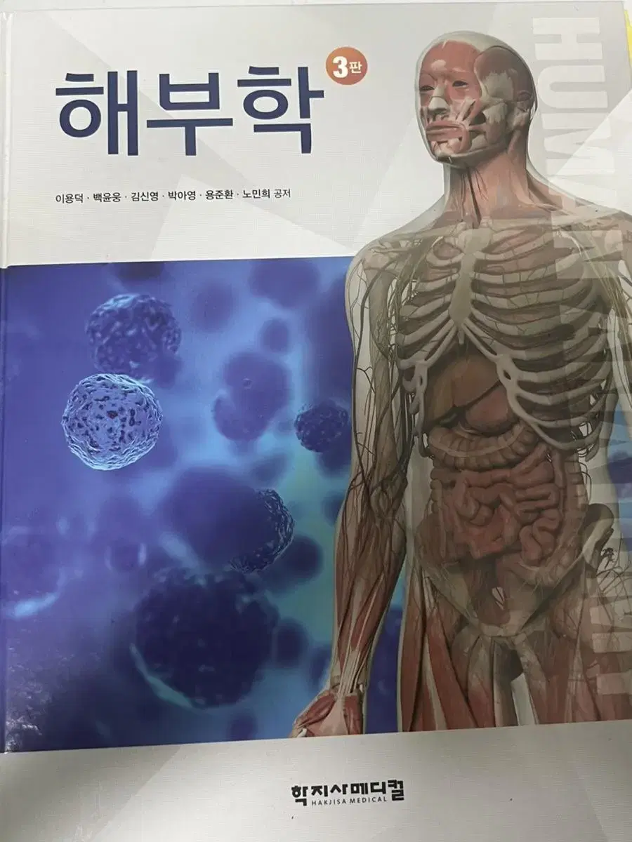 해부학 3판