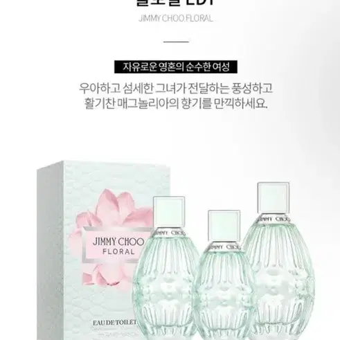 지미추 플로럴 EDT 40ml