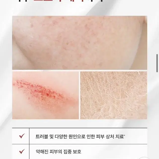 [새상품] 셀퓨전씨 센테카솔 연고 40ml (피부재생, 염증완화, 상처)